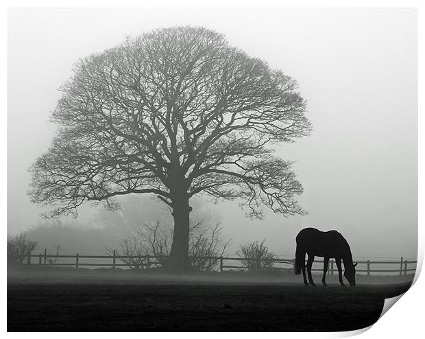 Horse in the Mist Print by Paul Appleby