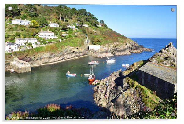 Polperro Outer Harbour and The Net Loft  Acrylic by Rosie Spooner