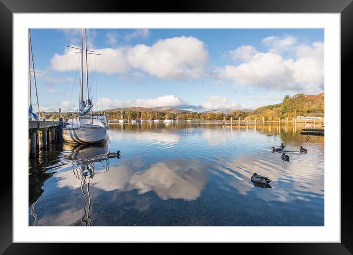 Sleepy duck Framed Mounted Print by Jonathon barnett