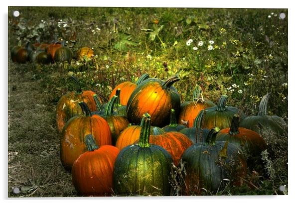Pumpkins for Sale   misc  Acrylic by Elaine Manley