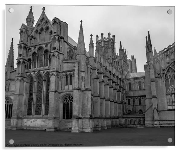 Ely Cathedral bw Acrylic by Chris Yaxley