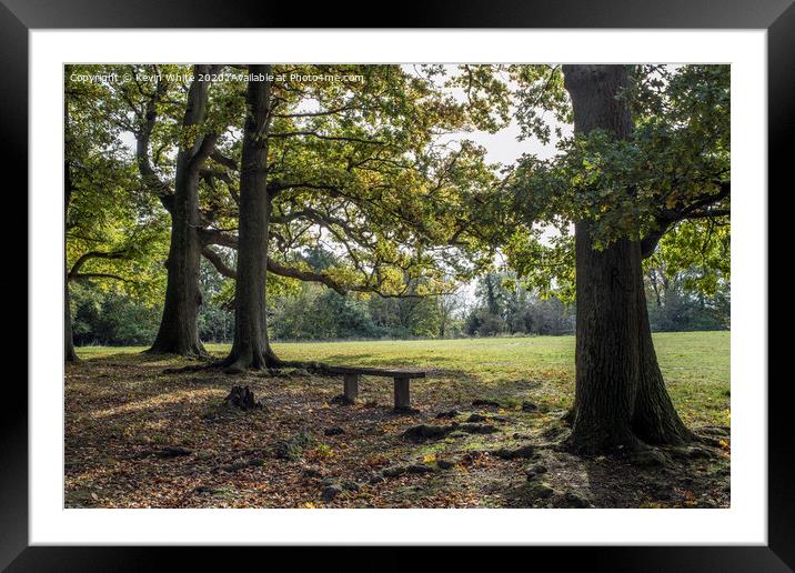 Peaceful bench Framed Mounted Print by Kevin White