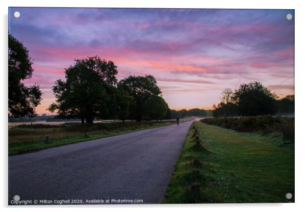 Cyclist riding at sunrise through Richmond Park Acrylic by Milton Cogheil