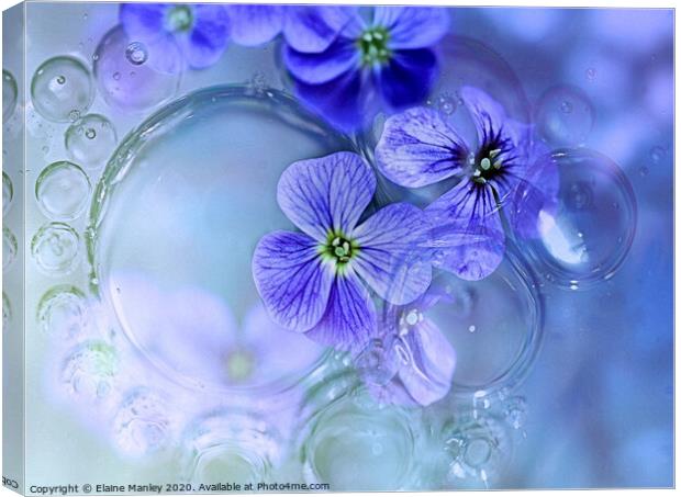 Oil and Water with flowers Canvas Print by Elaine Manley