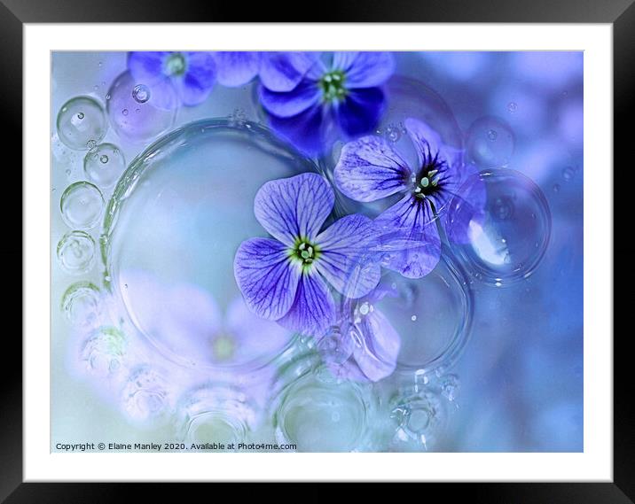 Oil and Water with flowers Framed Mounted Print by Elaine Manley