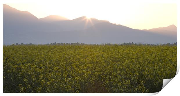 Sunrise bursting over the kamnik alps and rapeseed Print by Ian Middleton