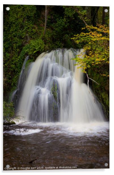 Waterfall Fairy Glen Rosemarkie Acrylic by Douglas Kerr