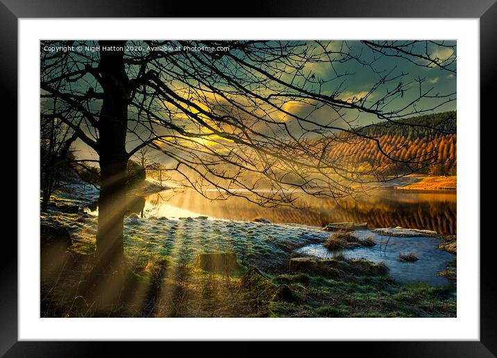 Cold Morning Framed Mounted Print by Nigel Hatton