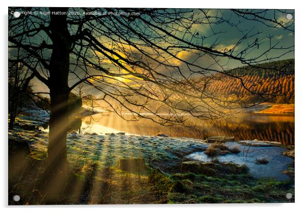 Cold Morning Acrylic by Nigel Hatton