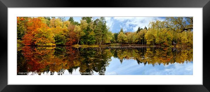 Autumn Reflection Framed Mounted Print by Lady Debra Bowers L.R.P.S