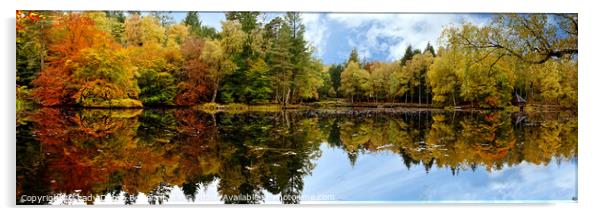 Autumn Reflection Acrylic by Lady Debra Bowers L.R.P.S