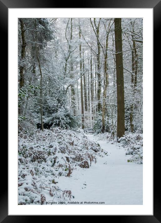 Winter in the Forest  Framed Mounted Print by Holly Burgess