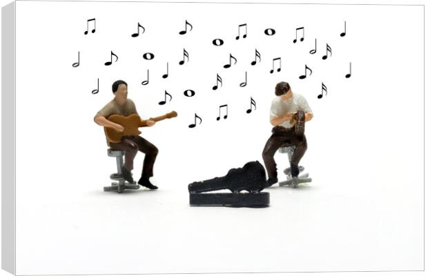 The Folk Duo Canvas Print by Steve Purnell