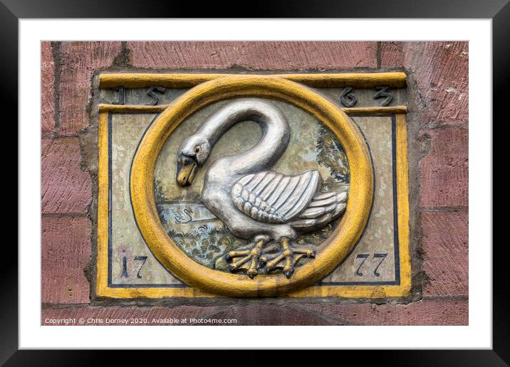 Swan Sculpture in Nuremberg Framed Mounted Print by Chris Dorney