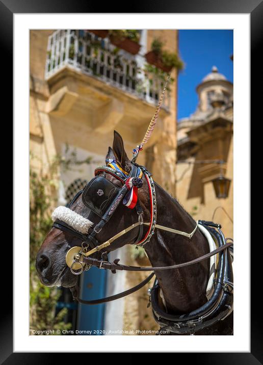 Horse and Carriage Ride in Mdina Framed Mounted Print by Chris Dorney