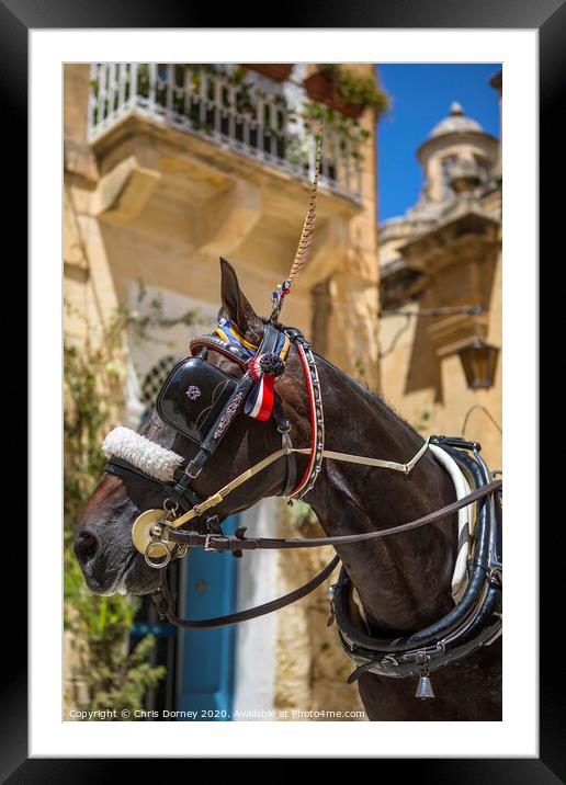 Horse and Carriage Ride in Mdina Framed Mounted Print by Chris Dorney