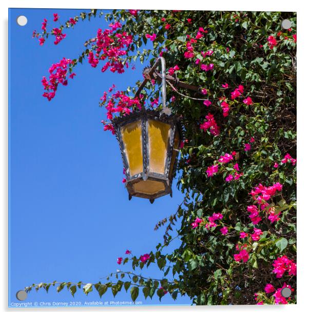 Street Lamp in Mdina Acrylic by Chris Dorney
