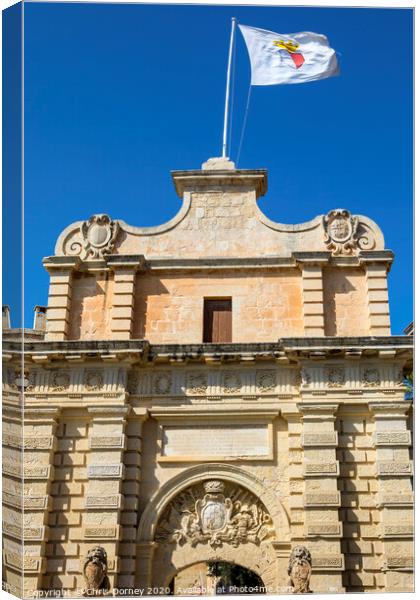 Main Gate of Mdina in Malta Canvas Print by Chris Dorney