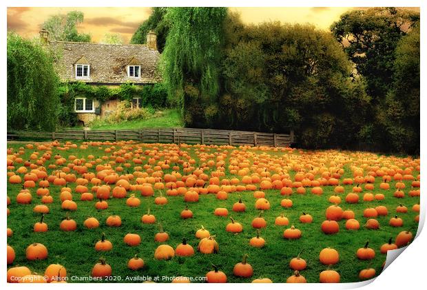 The Pumpkin Patch  Print by Alison Chambers