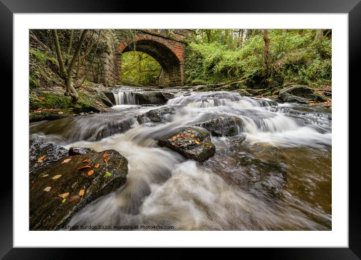 May Beck in Autumn Framed Mounted Print by Richard Burdon