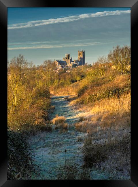 Ely Cathedral from Roswell Lakes, Cambridgeshrie Framed Print by Andrew Sharpe