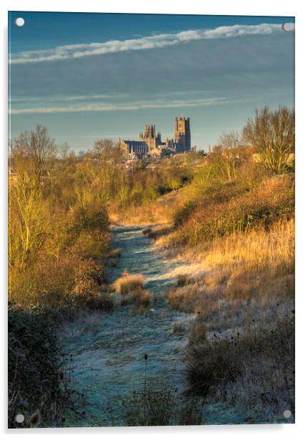 Ely Cathedral from Roswell Lakes, Cambridgeshrie Acrylic by Andrew Sharpe