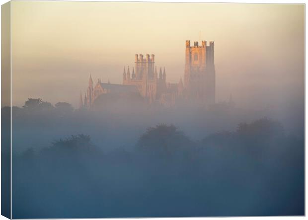 Ely Cathedral, from Roswell Lakes Canvas Print by Andrew Sharpe
