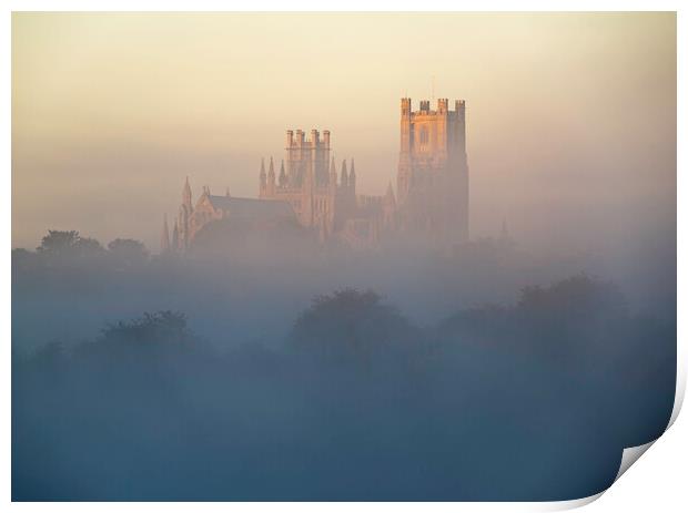 Ely Cathedral, from Roswell Lakes Print by Andrew Sharpe