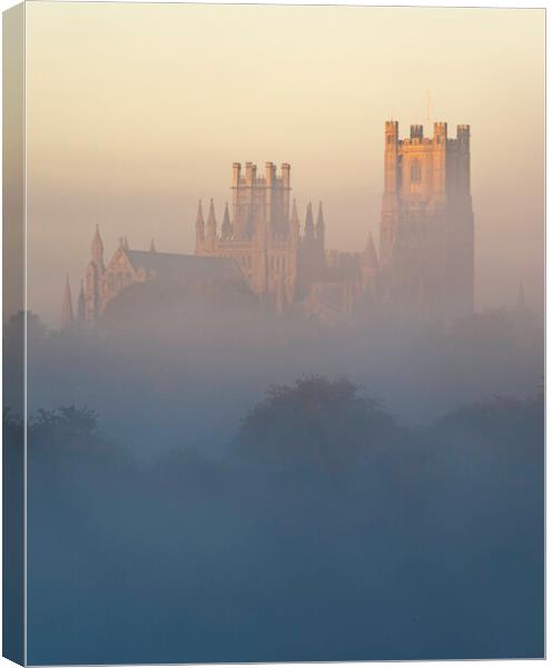 Ely Cathedral, from Roswell Lakes Canvas Print by Andrew Sharpe