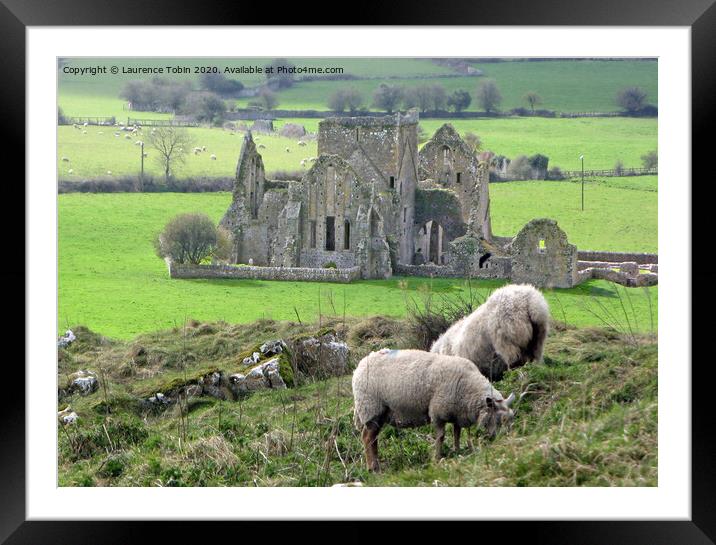Hore Abbey. Cashel, Ireland Framed Mounted Print by Laurence Tobin