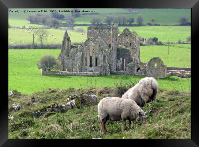 Hore Abbey. Cashel, Ireland Framed Print by Laurence Tobin