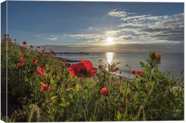 Sunrise over Southwold, 4th June 2017 Canvas Print by Andrew Sharpe