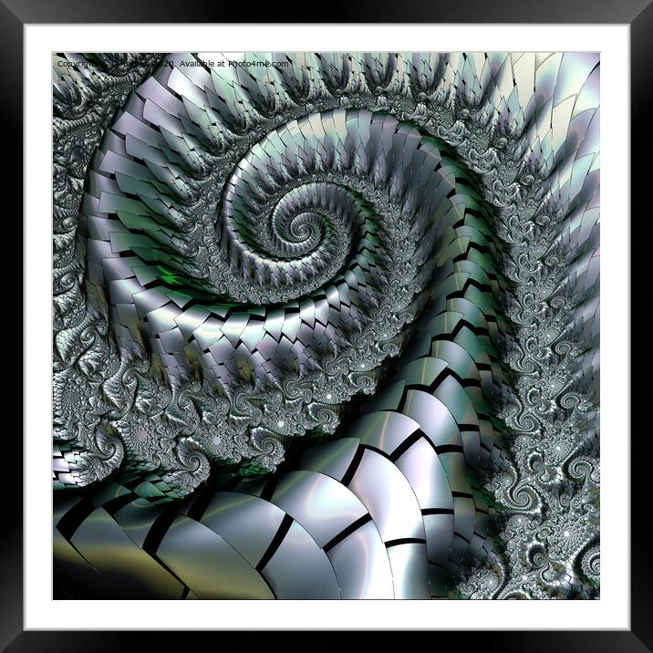 Metallic Spiral Framed Mounted Print by Lynn Bolt