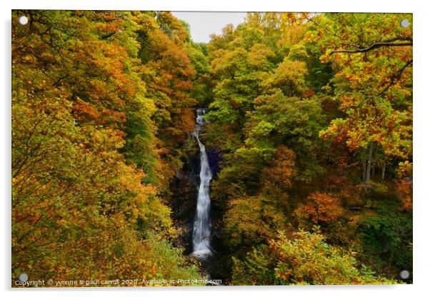 Black Spout Waterfall, Pitlochry Acrylic by yvonne & paul carroll