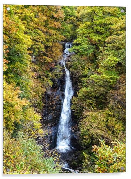 Black Spout Waterfall, Pitlochry Acrylic by yvonne & paul carroll