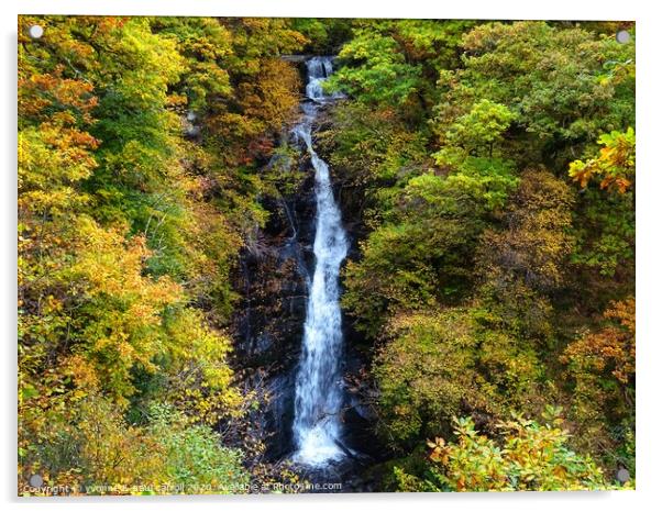 Black Spout Waterfall, Pitlochry Acrylic by yvonne & paul carroll