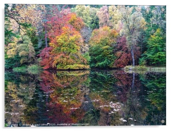 Loch Dunmore, Faskally Woods, Perthshire Acrylic by yvonne & paul carroll