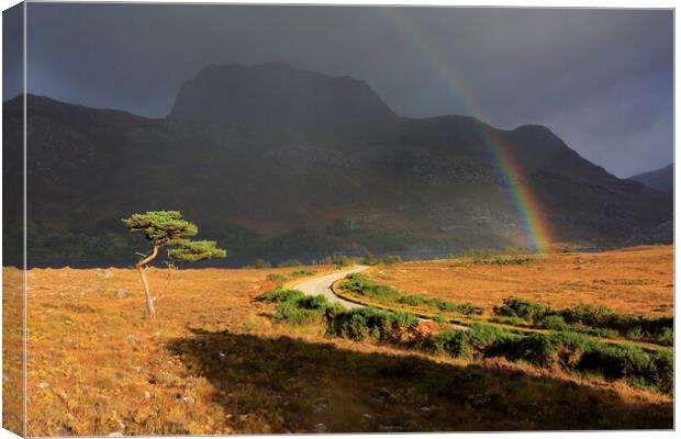 Rainbow over Slioch from Loch Maree in Scotland Canvas Print by MIKE HUTTON