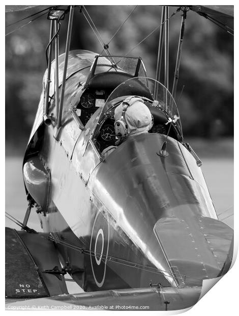 Tiger Moth Print by Keith Campbell