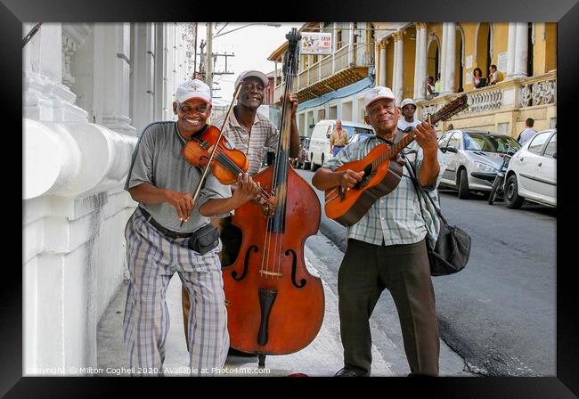 Cuban street musicians Framed Print by Milton Cogheil