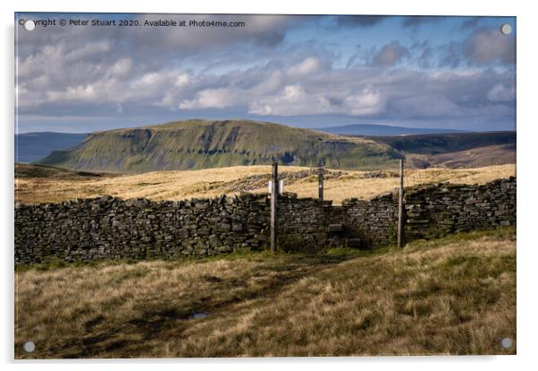 Fountains Fell from Malham Tarn Acrylic by Peter Stuart