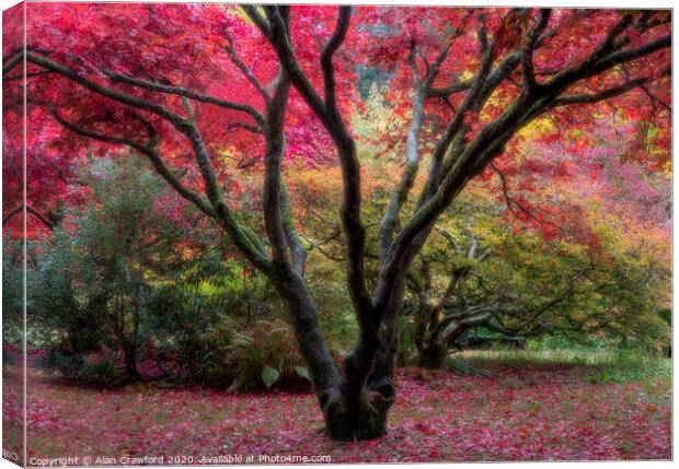 Autumn Colours Canvas Print by Alan Crawford