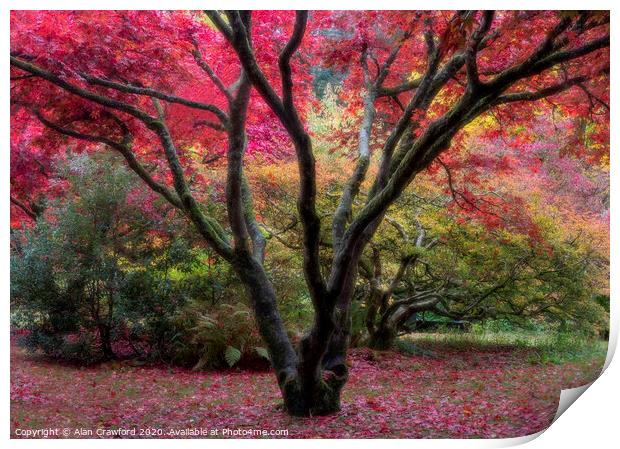 Autumn Colours Print by Alan Crawford