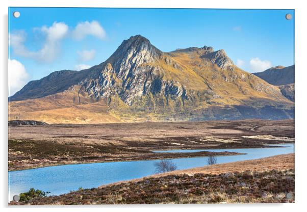 Highland Views Acrylic by David Hare