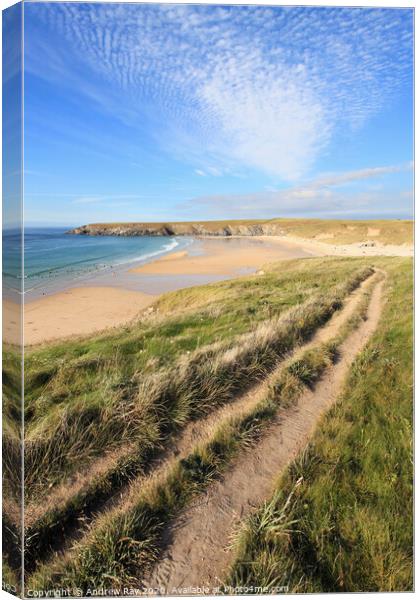 Coast Path to Holywell Canvas Print by Andrew Ray