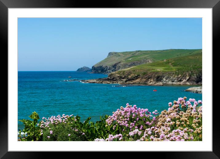 Cornwall Sea Thrift Framed Mounted Print by David Wilkins