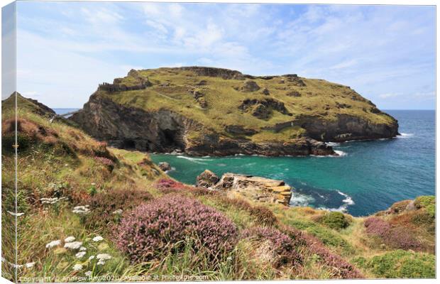 Heather at Tintagel Canvas Print by Andrew Ray