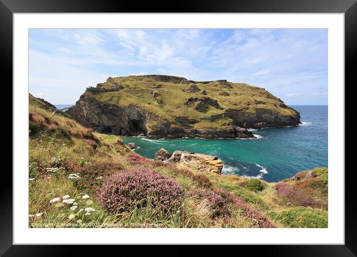 Heather at Tintagel Framed Mounted Print by Andrew Ray