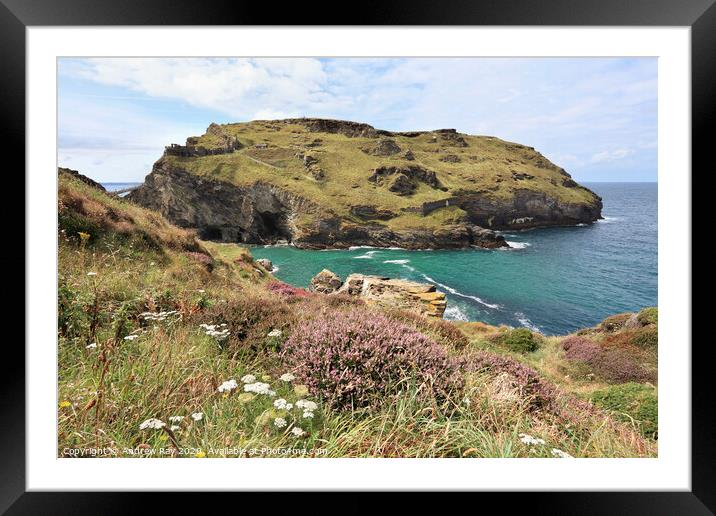 Heather at Tintagel Castle Framed Mounted Print by Andrew Ray