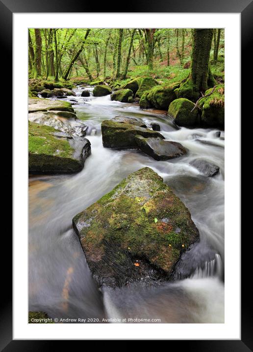 Rocks at Golitha Falls 2 Framed Mounted Print by Andrew Ray